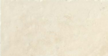 Timeless White