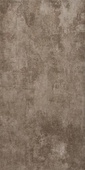 Convers Taupe