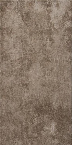 Convers Taupe