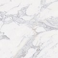 Carrara Gris