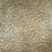 Cavallino Leopard