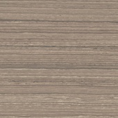 Serpeggiante Vision 60*60см