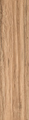 Aspen Brown STR