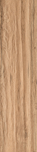 Aspen Brown STR